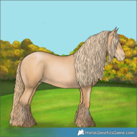 Horse Color:Chestnut Pearl 