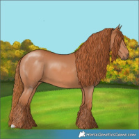 Horse Color:Chestnut 