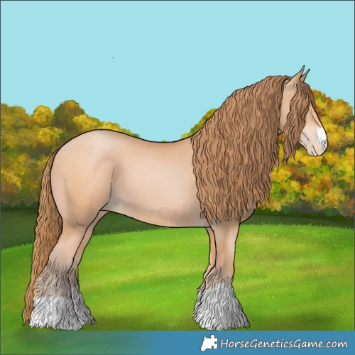 Horse Color:Bay Pearl 