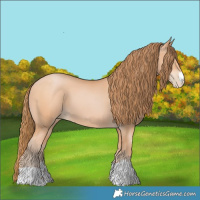 Horse Color:Bay Pearl 
