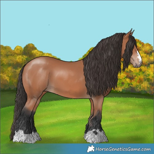 Horse Color:Bay Mushroom 