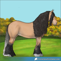 Horse Color:Bay Dun 