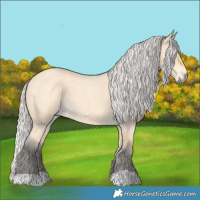 Horse Color:Silver Buckskin Roan