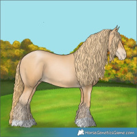 Horse Color:Chestnut Pearl