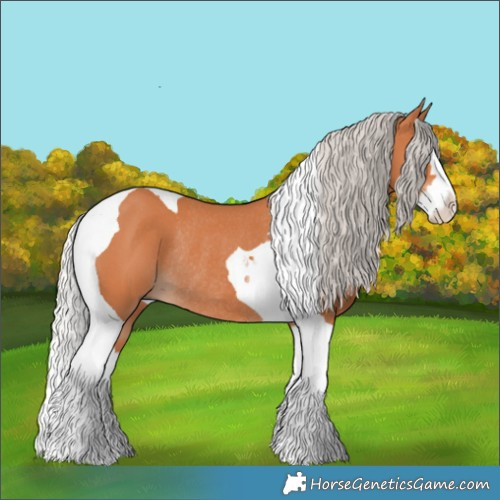 Horse Color:Silver Bay Splash Tobiano Rabicano 