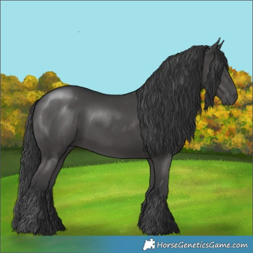 Horse Color:Black Mushroom 