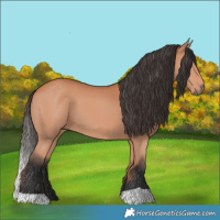 Horse Color:Bay Mushroom 