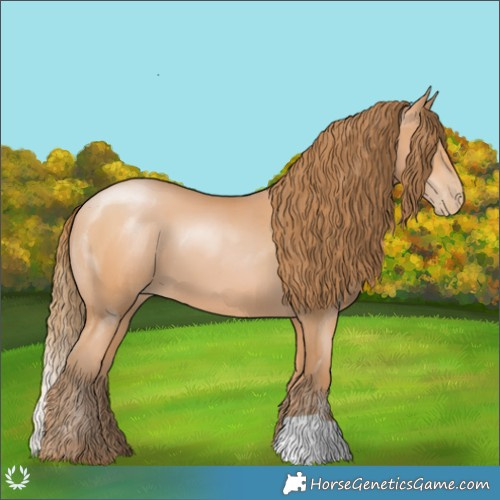 Horse Color:Bay Pearl 