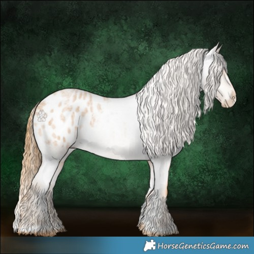 Horse Color:Red Roan Appaloosa 
