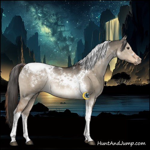 Horse Color:Liver Red Dun Tobiano Rabicano 