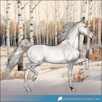 Horse Color:Void Platinum Chocolate Palomino Pearl Onyx Rabicano