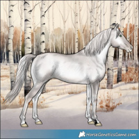 Horse Color:Void Platinum Chocolate Palomino Pearl Onyx Rabicano 
