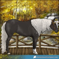 Horse Color:Liver Chestnut Mushroom 