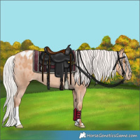 Horse Color:Silver Classic Champagne Appaloosa 