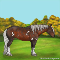 Horse Color:White Spotted Silver Brown Tobiano 