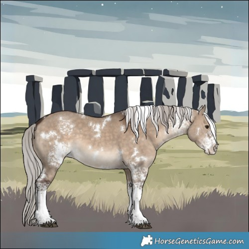 Horse Color:White Spotted Silver Brown Dun 