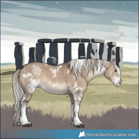 Horse Color:White Spotted Silver Brown Dun 