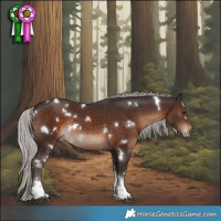 Horse Color:White Spotted Silver Brown Tobiano Rabicano 