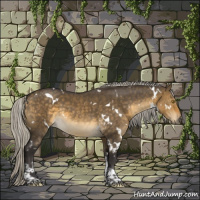 Horse Color:White Spotted Silver Buckskin Dun Tobiano 