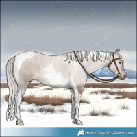 Horse Color:Silver Brown Dun Tobiano 