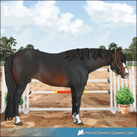 Horse Color:Brown 