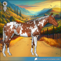Horse Color:White Spotted Silver Bay 