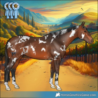 Horse Color:White Spotted Bay 