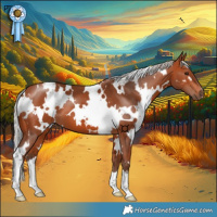 Horse Color:White Spotted Silver Bay 