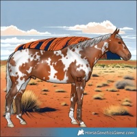 Horse Color:White Spotted Silver Bay 