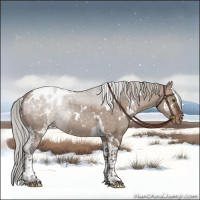 Horse Color:White Spotted Silver Brown Dun Tobiano Appaloosa Rabicano 