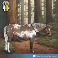 Horse Color:White Spotted Silver Brown Dun 