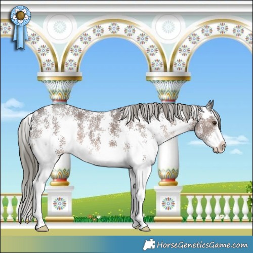 Horse Color:Liver Chestnut Mushroom Sabino 