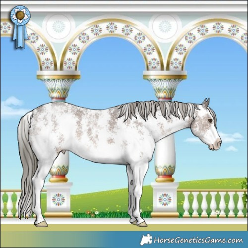 Horse Color:Liver Chestnut Mushroom Sabino 