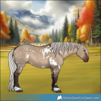 Horse Color:White Spotted Silver Brown Dun