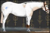 Horse Color:Chocolate Palomino Pearl Tobiano Frame  and Chocolate Palomino Pearl Tobiano Frame 