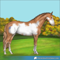 Horse Color:Chestnut Frame 