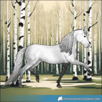 Horse Color:Gray White Spotted Liver Chestnut