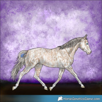Horse Color:Chocolate Palomino Pearl Tobiano Frame  and Chocolate Palomino Pearl Tobiano Frame Near Leopard 