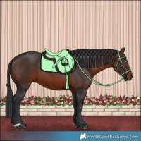 Horse Color:Brown 