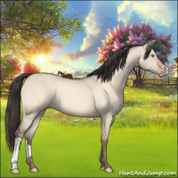 Horse Color:Amber Champagne Dun 