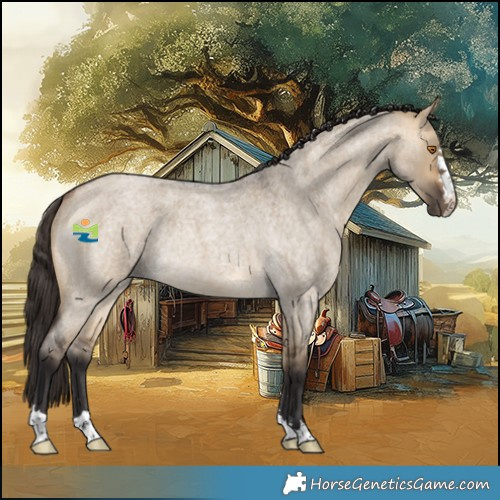 Horse Color:Buckskin Roan Dun Rabicano 