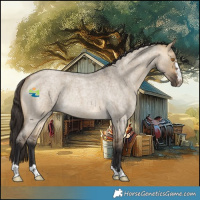 Horse Color:Buckskin Roan Dun Rabicano