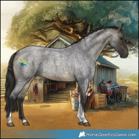 Horse Color:Buckskin Roan Tobiano Rabicano 