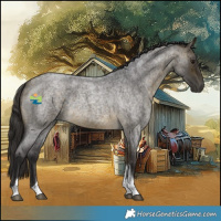 Horse Color:Buckskin Roan Tobiano Rabicano 