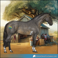 Horse Color:Buckskin Roan Tobiano Rabicano 