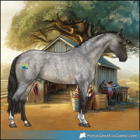 Horse Color:Buckskin Roan Tobiano Rabicano 