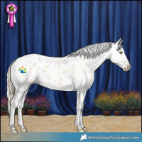 Horse Color:White Spotted Palomino Dun Tobiano Blanket 