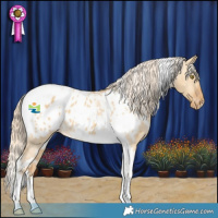 Horse Color:White Spotted Palomino Dun Tobiano Appaloosa