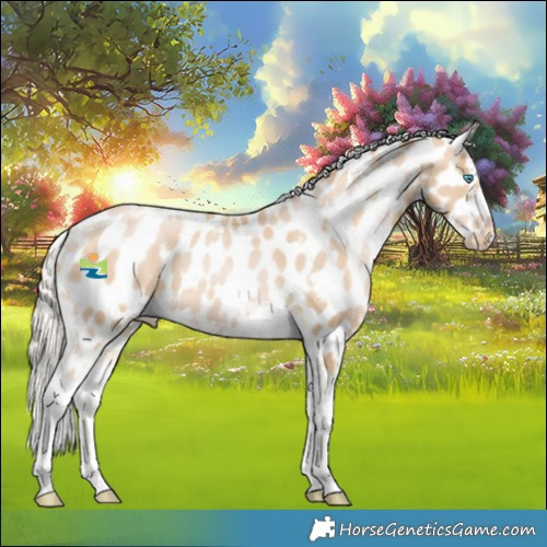 Horse Color:White Spotted Palomino Pearl Tobiano Appaloosa 