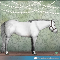 Horse Color:Gray Buckskin